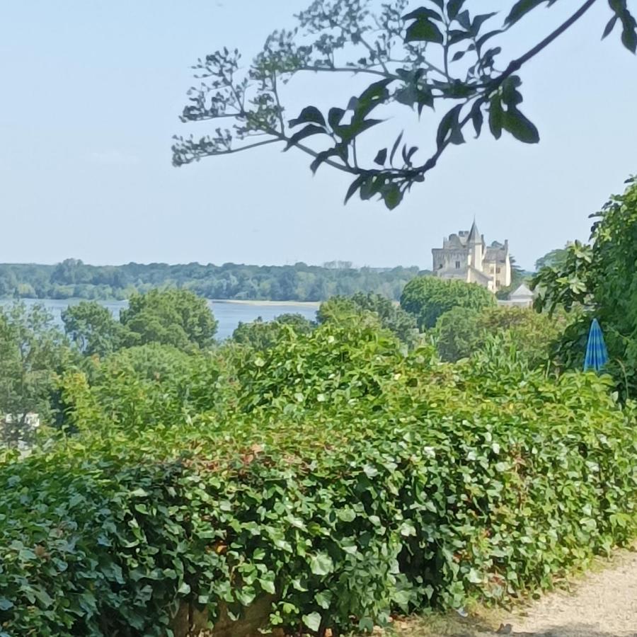 Gite Des Perreyeurs - Maison Troglodyte Avec Vue Sur Loire Montsoreau Eksteriør billede