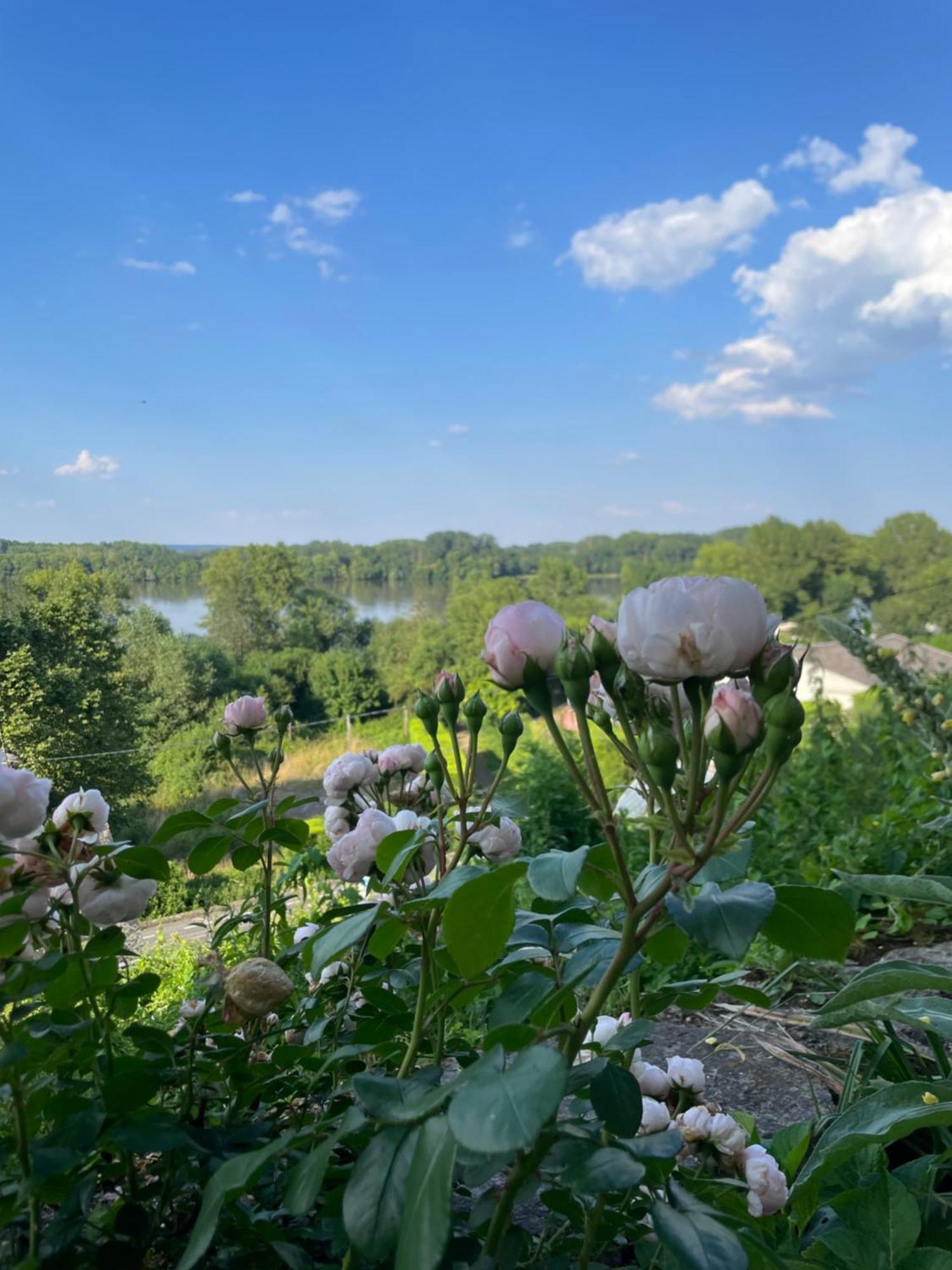 Gite Des Perreyeurs - Maison Troglodyte Avec Vue Sur Loire Montsoreau Eksteriør billede